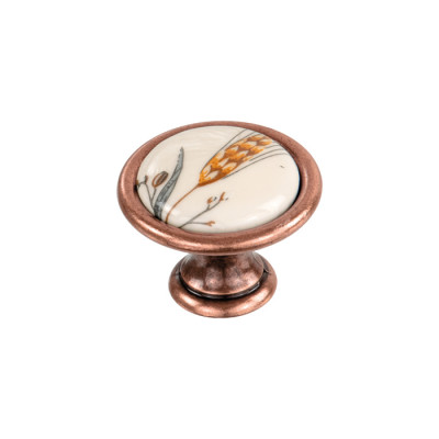 5279005_andrej-klas-patnamedi