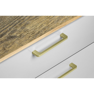 1594523_CAMPANIA-256-zlataleskla_2