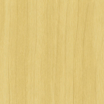 Krytka samolep. č.31 BREZA IKEA sada
